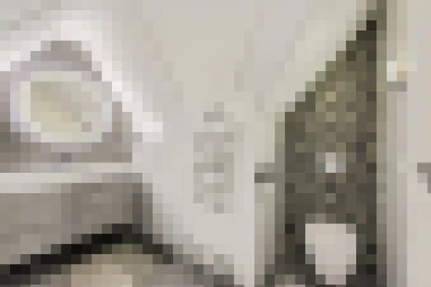 Laantje van Calis 2 Blaricum thumbnail 46