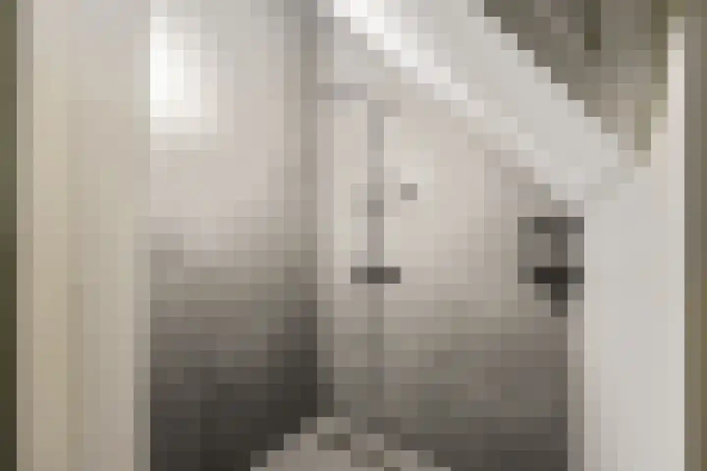 Laantje van Calis 2 Blaricum thumbnail 47