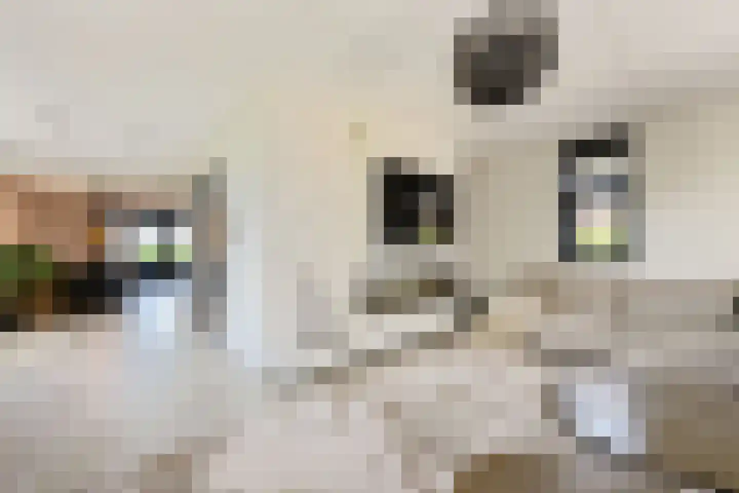 Laantje van Calis 2 Blaricum thumbnail 6