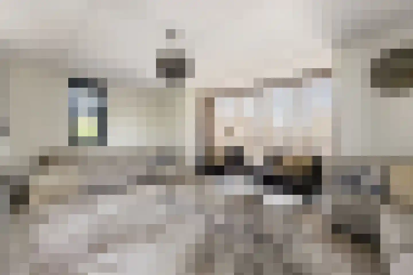 Laantje van Calis 2 Blaricum thumbnail 8