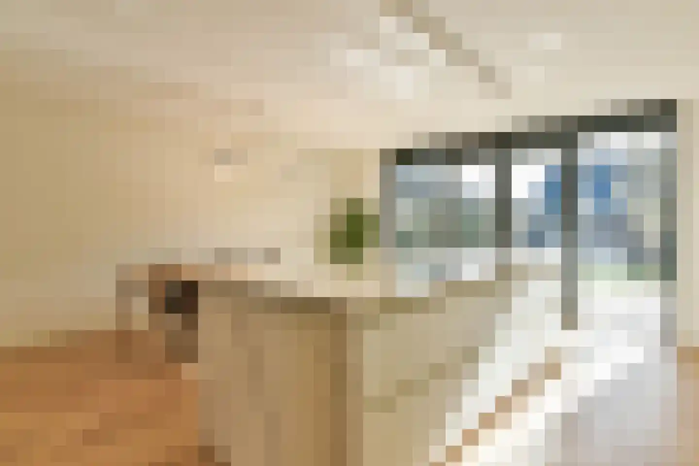Laantje van Calis 3 Blaricum thumbnail 11