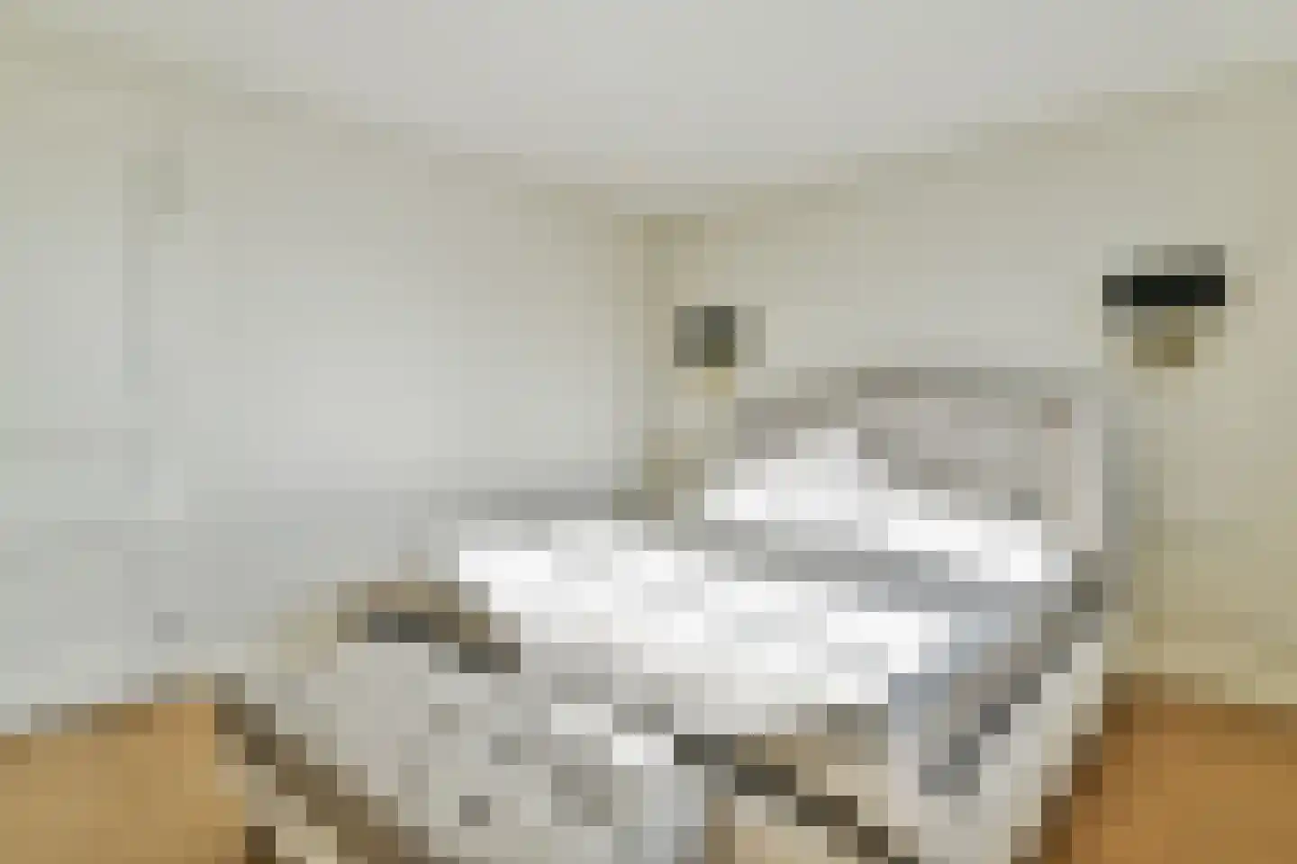 Laantje van Calis 3 Blaricum thumbnail 22
