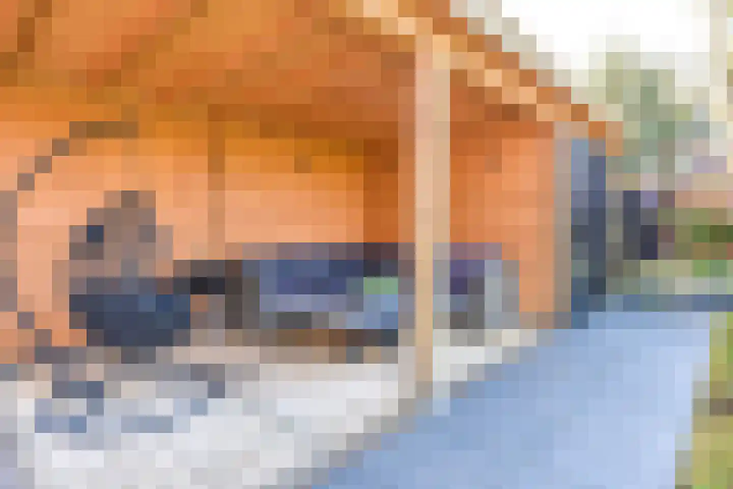 Laantje van Calis 5 Blaricum thumbnail 14
