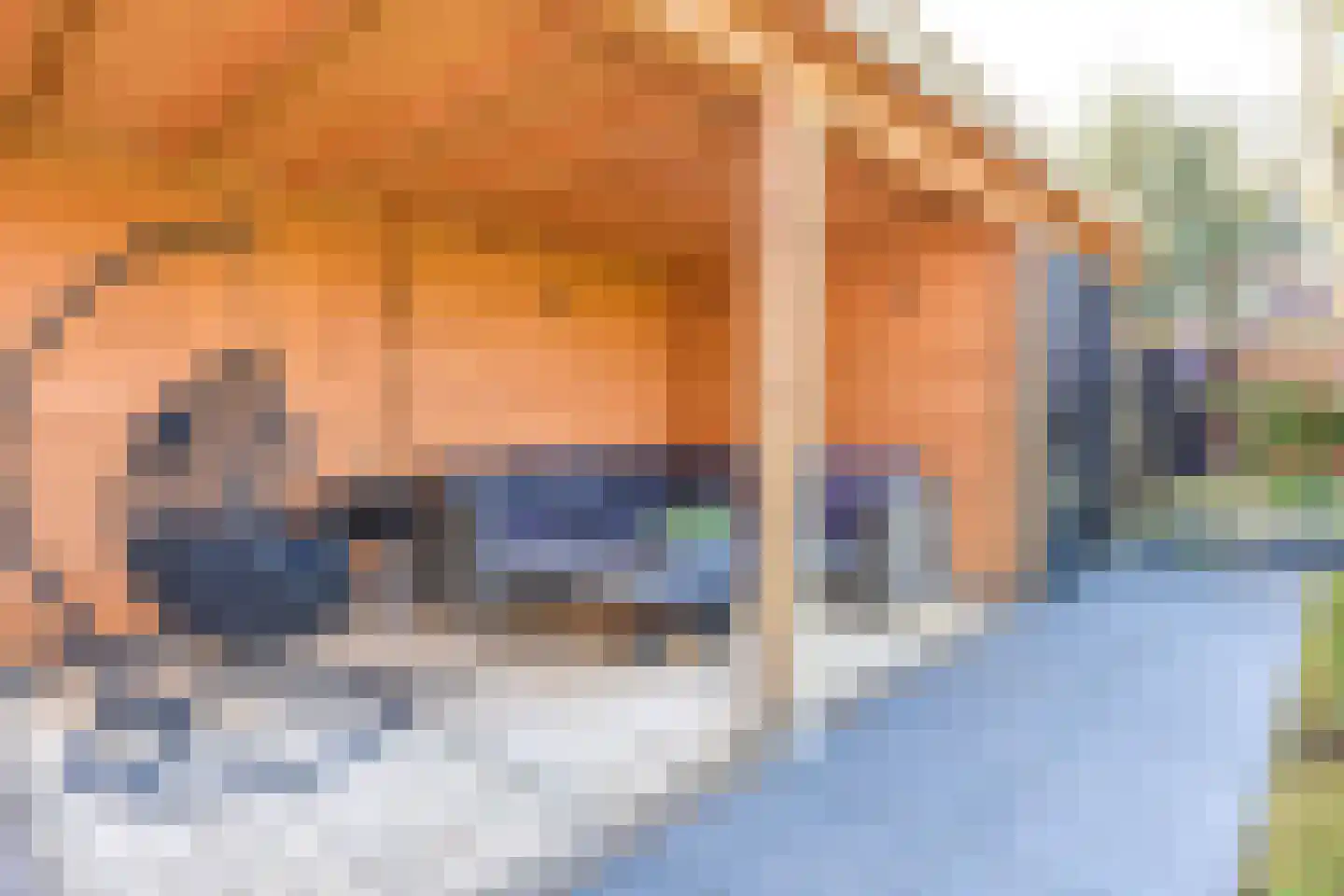 Laantje van Calis 5 Blaricum thumbnail 15