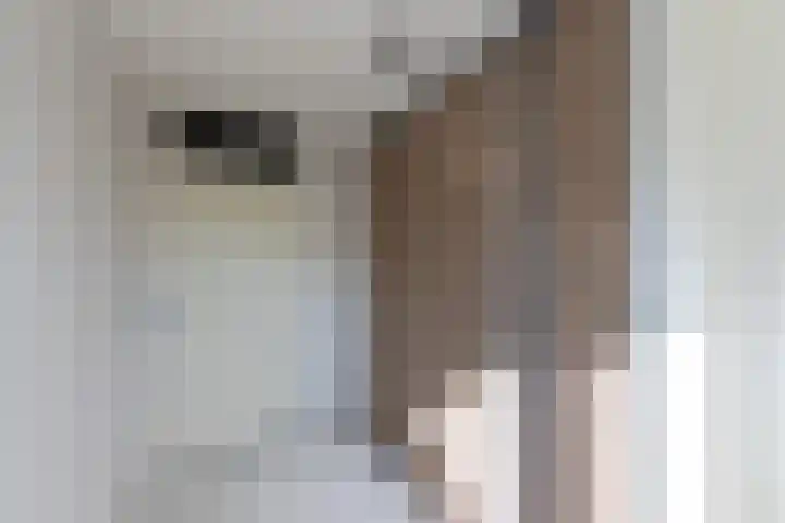 Laantje van de Lapjeskat 9 Wageningen thumbnail 20