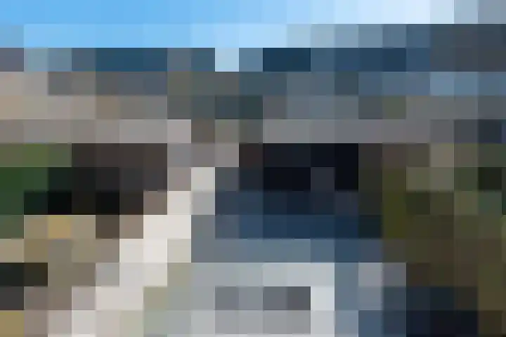 Laantje van de Lapjeskat 9 Wageningen thumbnail 23