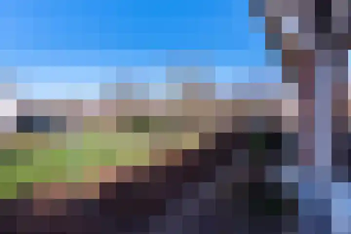 Laantje van de Lapjeskat 9 Wageningen thumbnail 29