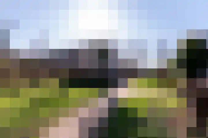 Laantje van de Lapjeskat 9 Wageningen thumbnail 30