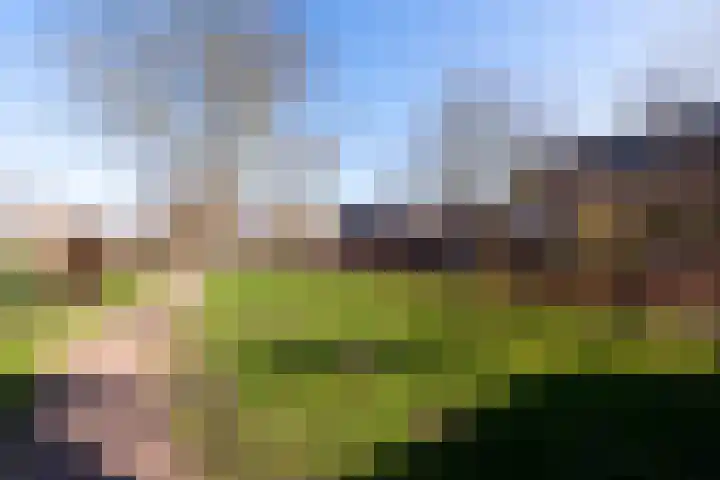 Laantje van de Lapjeskat 9 Wageningen thumbnail 31
