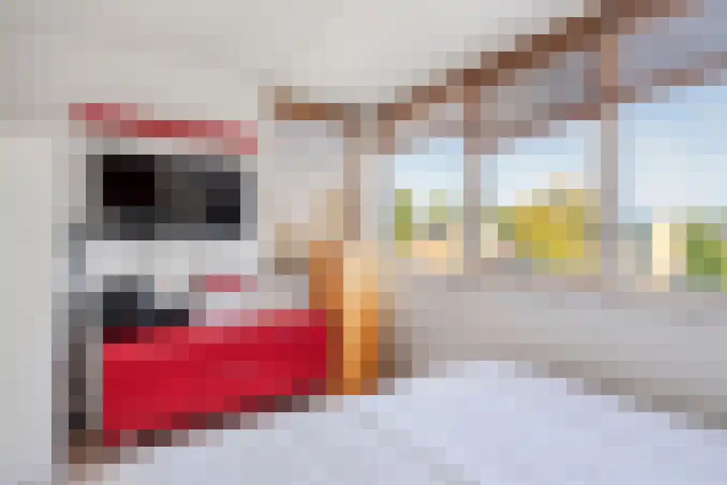 Laantje van de Veertien Uilen 7 Wageningen thumbnail 29