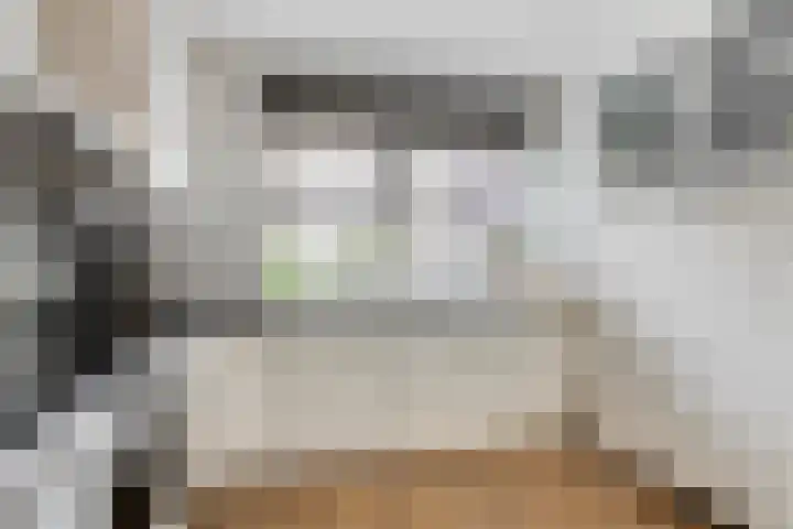 Laantje van Erik 3 Wageningen thumbnail 10