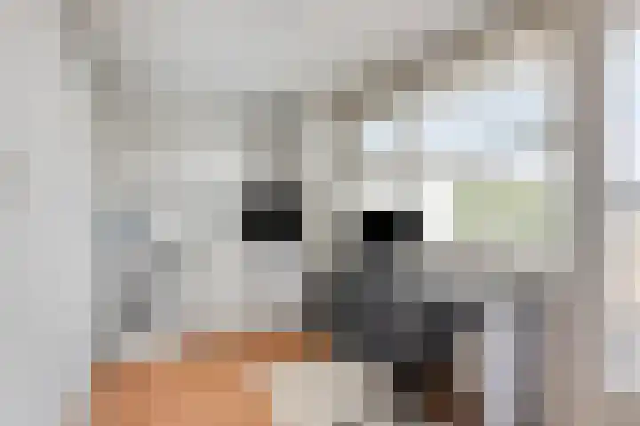 Laantje van Erik 3 Wageningen thumbnail 23