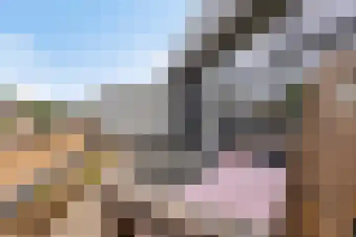 Laantje van Erik 3 Wageningen thumbnail 30