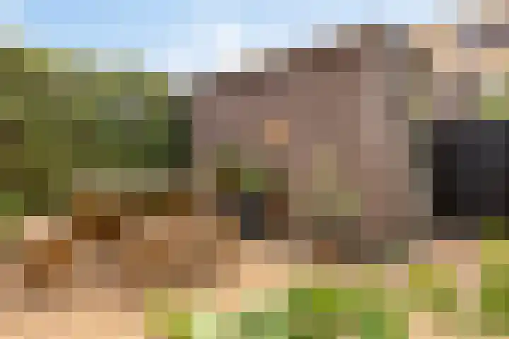 Laantje van Erik 3 Wageningen thumbnail 35