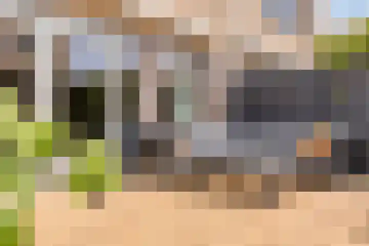 Laantje van Erik 3 Wageningen thumbnail 36