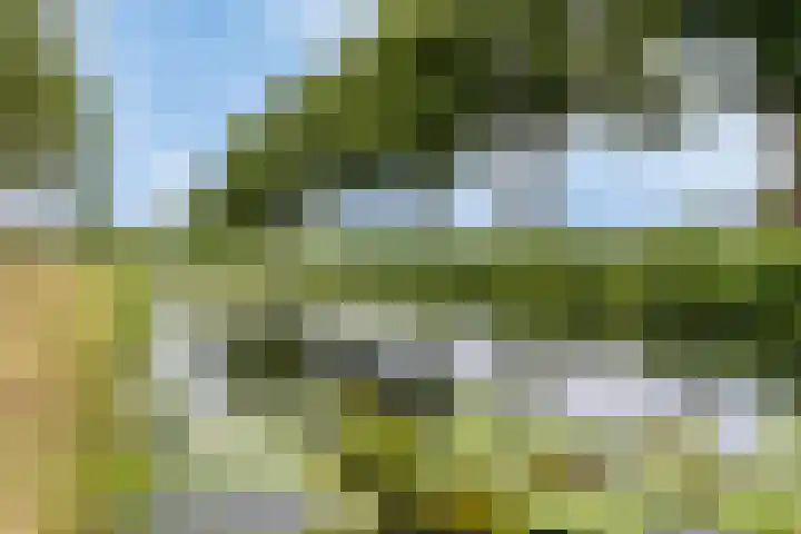 Laantje van Erik 3 Wageningen thumbnail 39