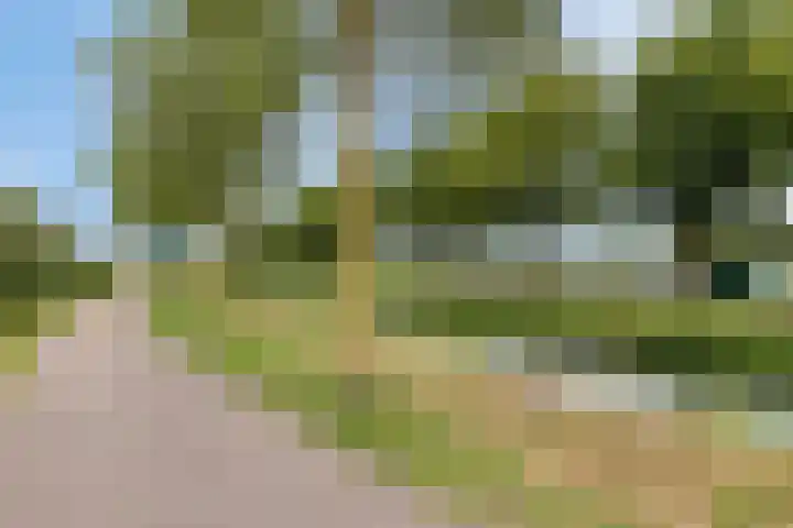 Laantje van Erik 3 Wageningen thumbnail 40