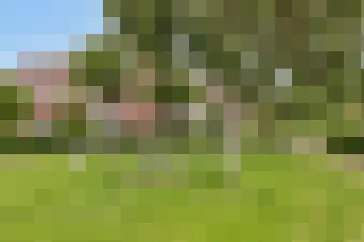 Laantje van Erik 3 Wageningen thumbnail 41