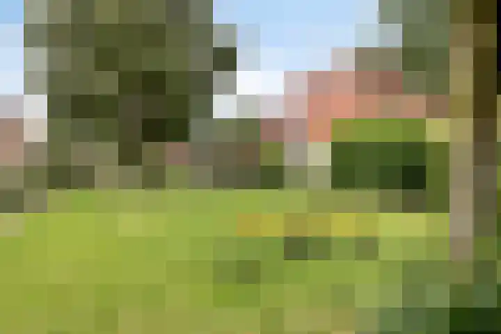 Laantje van Erik 3 Wageningen thumbnail 42
