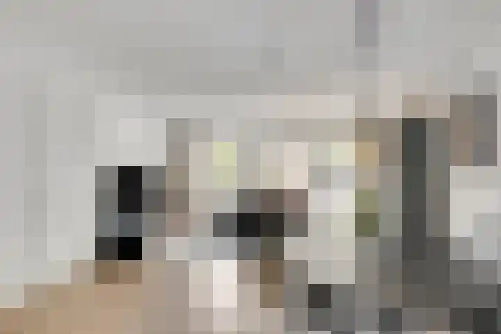 Laantje van Erik 3 Wageningen thumbnail 7