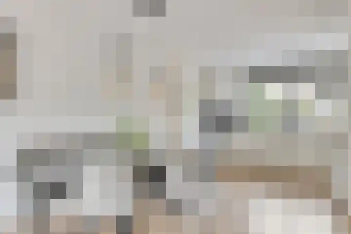 Laantje van Erik 3 Wageningen thumbnail 8