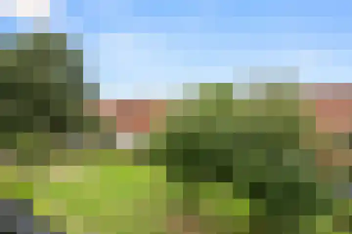 Laantje van Erik 5 Wageningen thumbnail 29