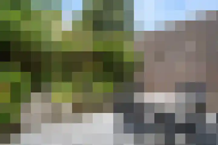 Laantje van Erik 5 Wageningen thumbnail 30