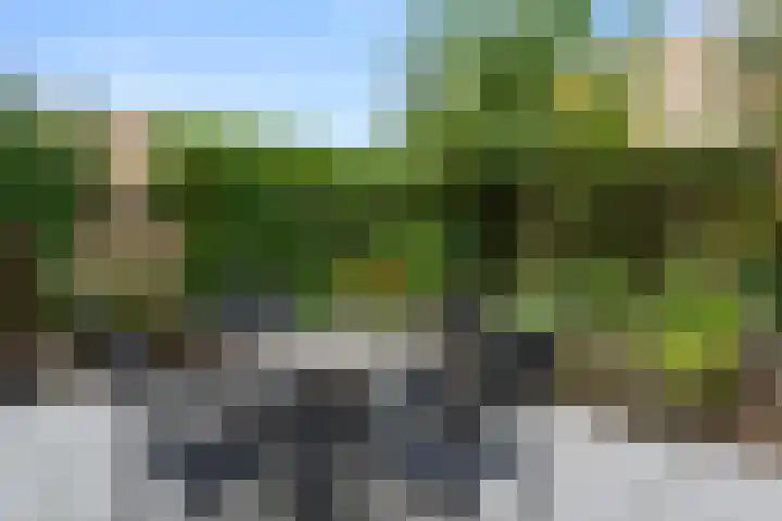 Laantje van Erik 5 Wageningen thumbnail 31