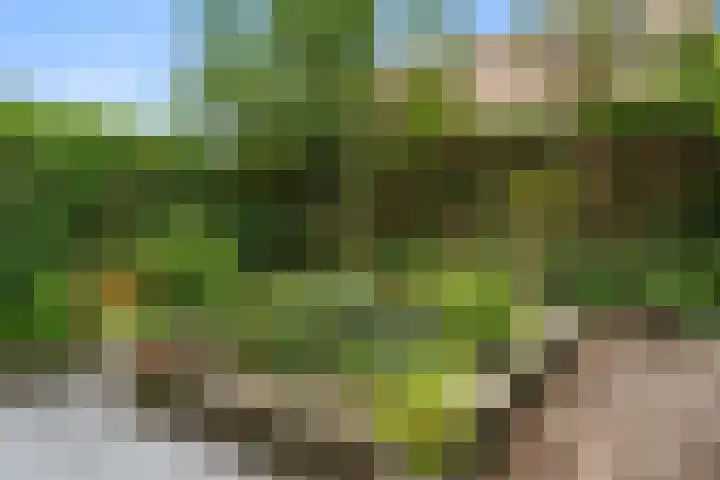 Laantje van Erik 5 Wageningen thumbnail 32
