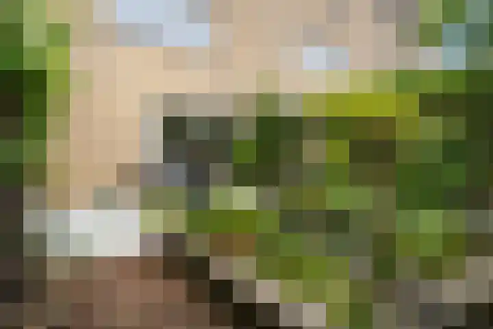 Laantje van Erik 5 Wageningen thumbnail 33