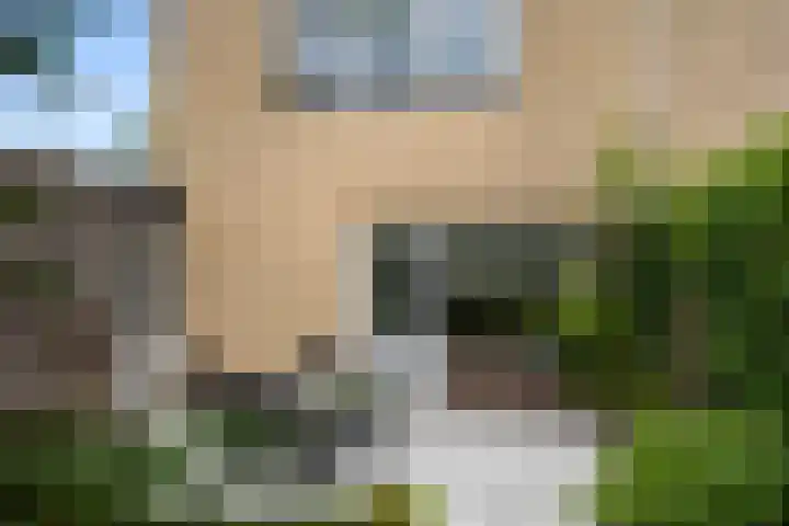 Laantje van Erik 5 Wageningen thumbnail 34
