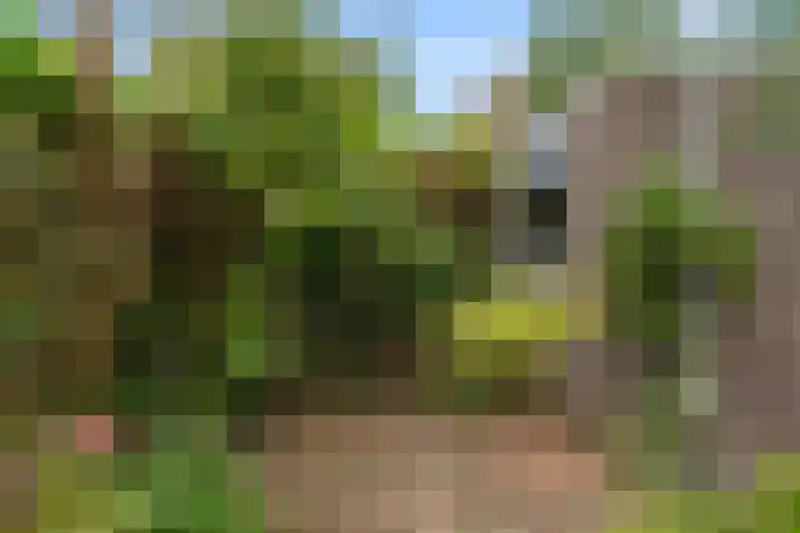 Laantje van Erik 5 Wageningen thumbnail 35