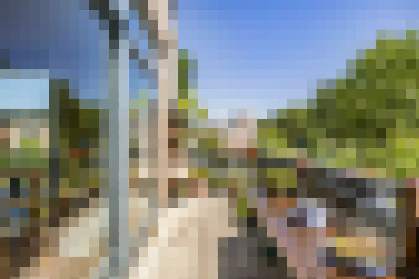 Laantje van het Schaap Veronica 5 Wageningen thumbnail 21