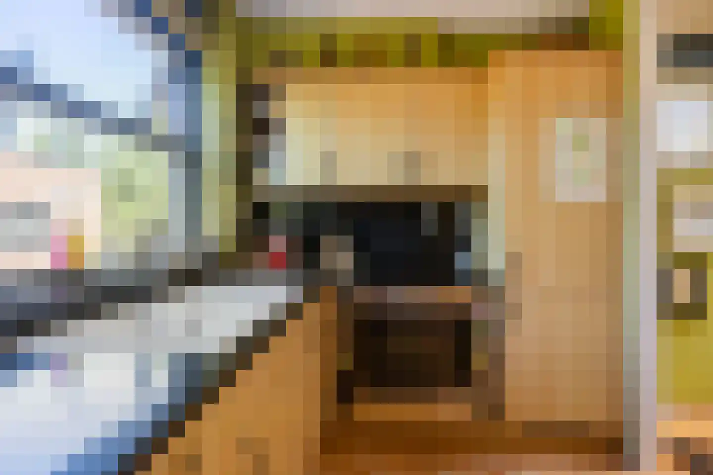 Laantje van het Schaap Veronica 5 Wageningen thumbnail 28