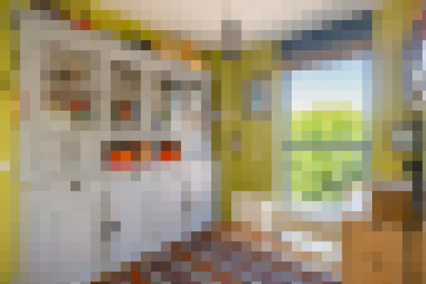 Laantje van het Schaap Veronica 5 Wageningen thumbnail 29