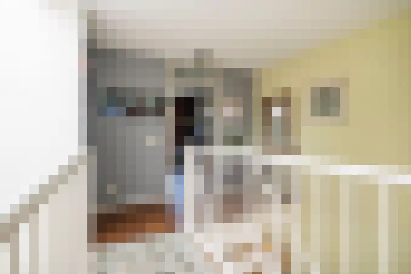 Laantje van het Schaap Veronica 5 Wageningen thumbnail 31