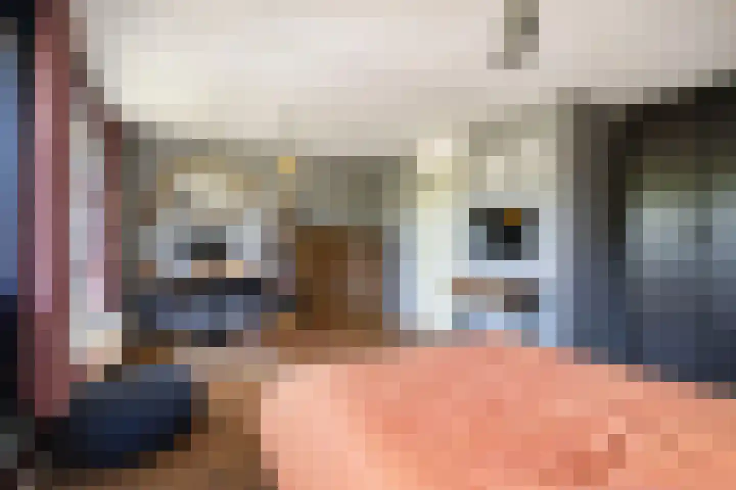 Laantje van het Schaap Veronica 5 Wageningen thumbnail 34
