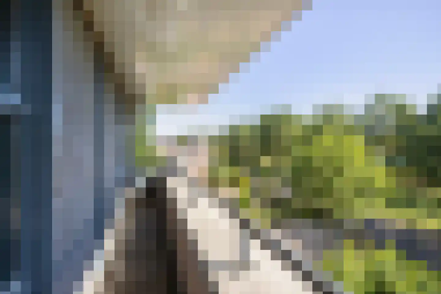 Laantje van het Schaap Veronica 5 Wageningen thumbnail 36