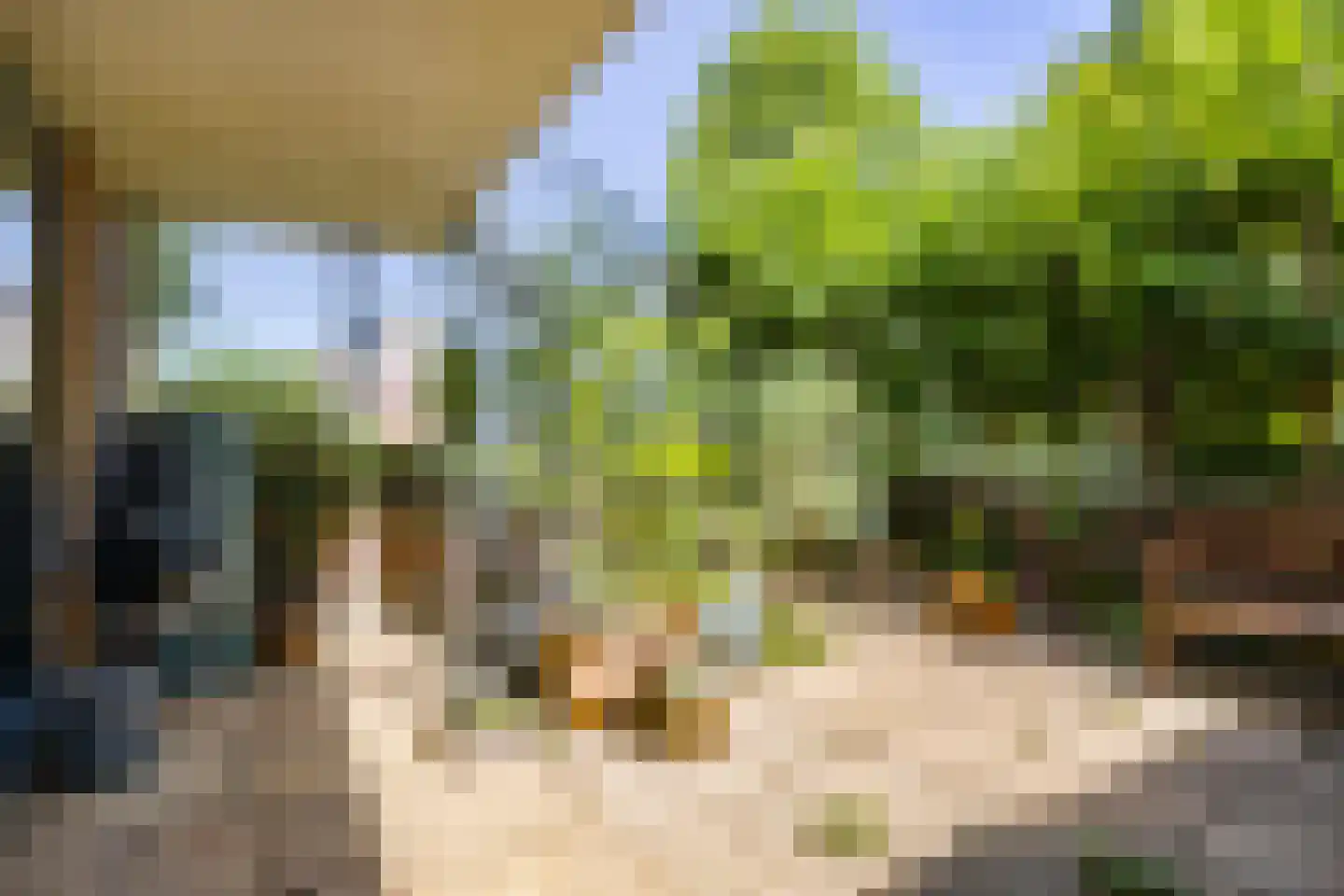 Laantje van het Schaap Veronica 5 Wageningen thumbnail 44