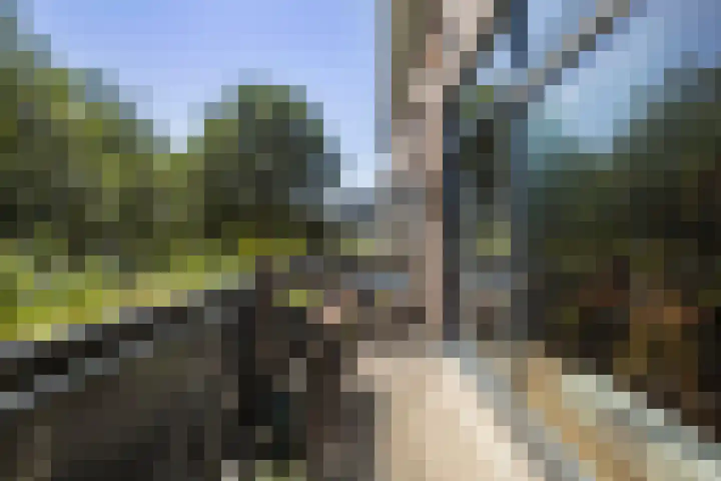 Laantje van het Schaap Veronica 5 Wageningen thumbnail 5
