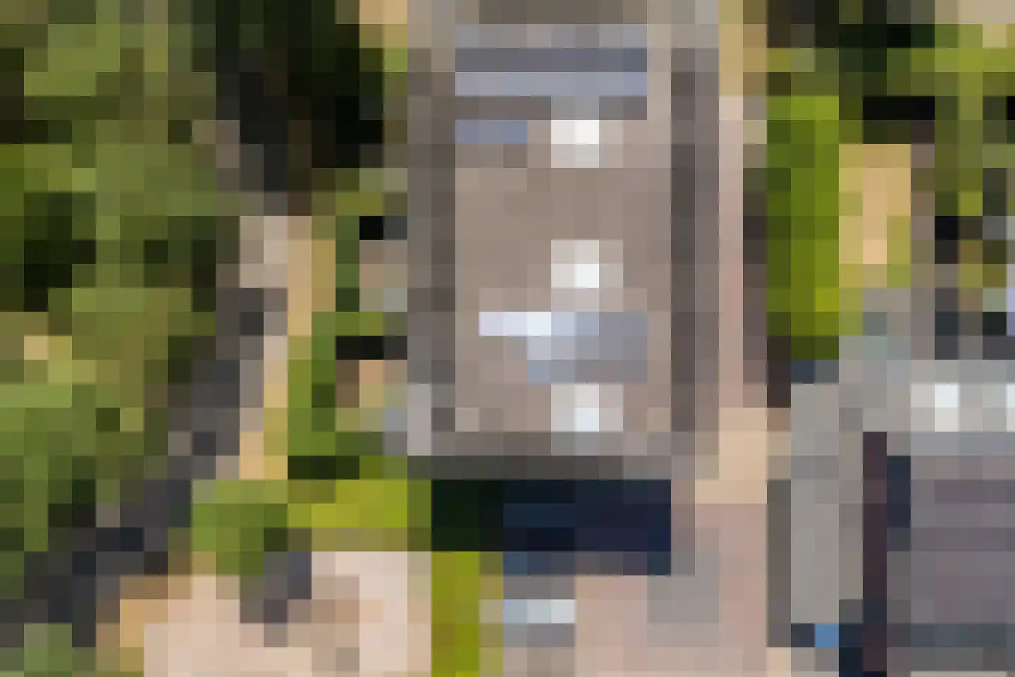 Laantje van het Schaap Veronica 5 Wageningen thumbnail 50