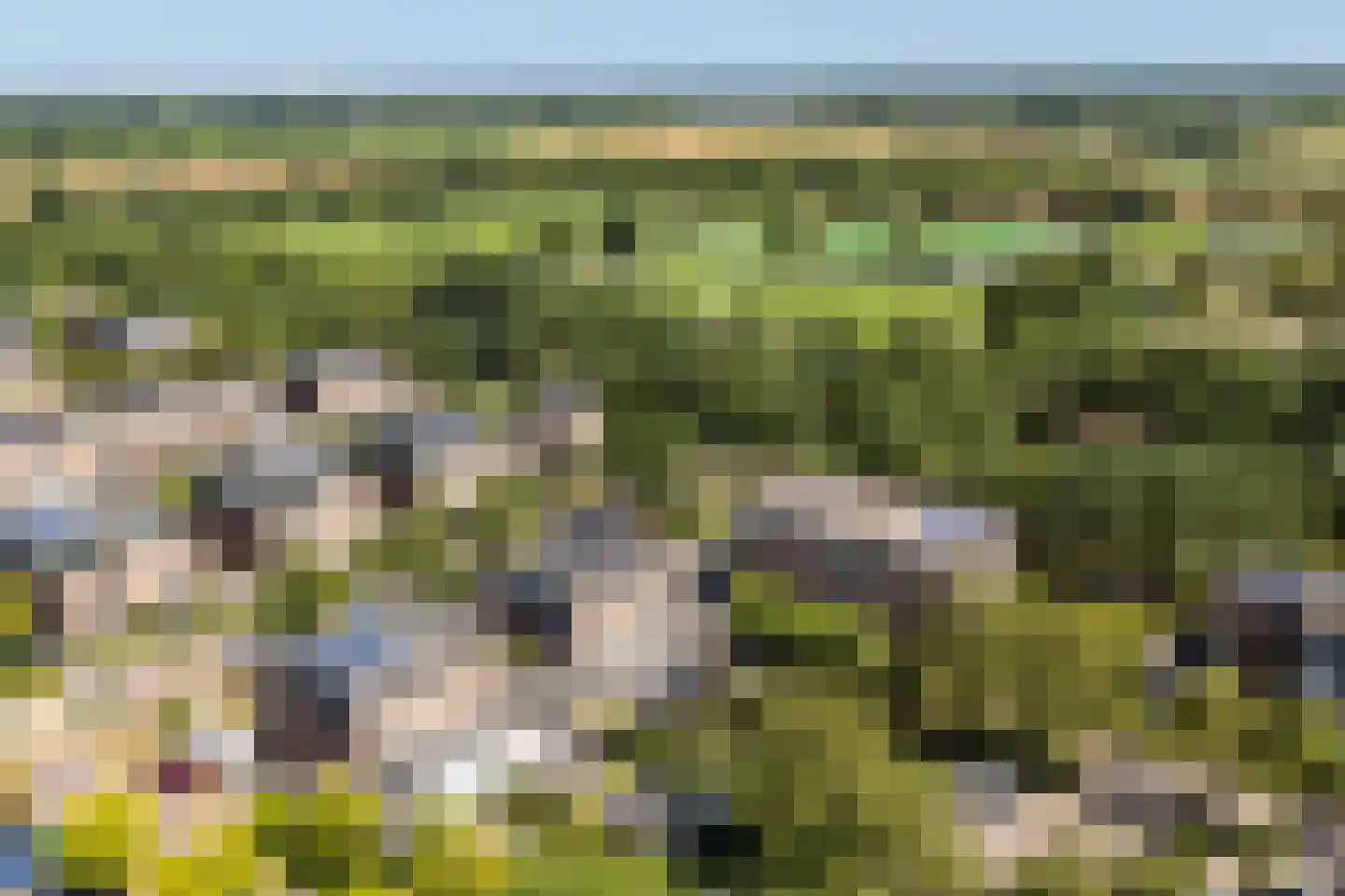 Laantje van het Schaap Veronica 5 Wageningen thumbnail 52