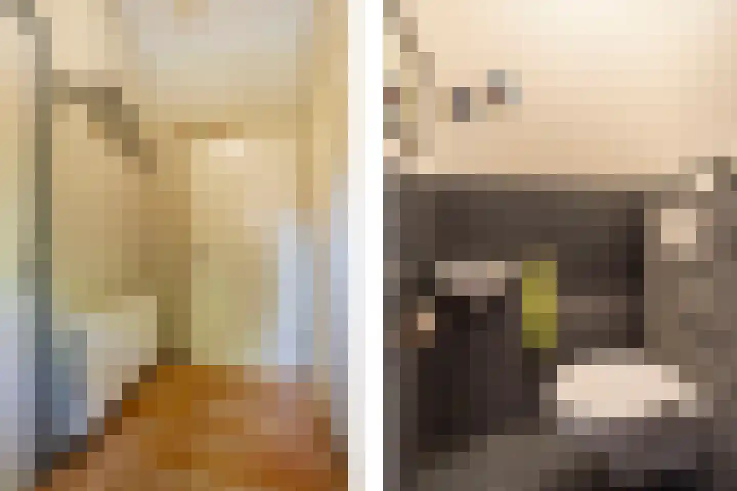 Laantje van het Schaap Veronica 5 Wageningen thumbnail 8