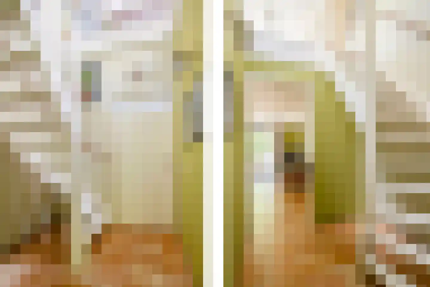 Laantje van het Schaap Veronica 5 Wageningen thumbnail 9