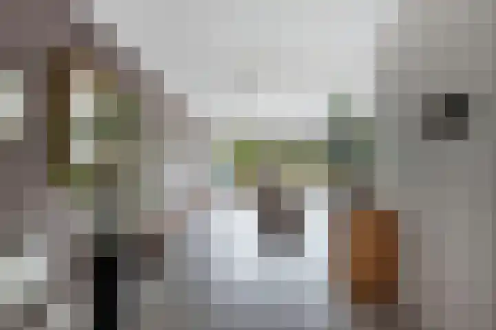 Laantje van Hynckes 22 Blaricum thumbnail 12