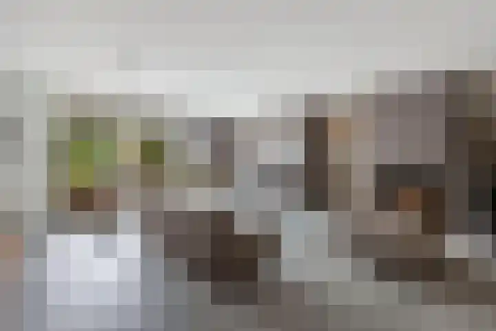 Laantje van Hynckes 22 Blaricum thumbnail 13