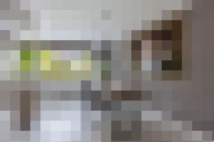 Laantje van Hynckes 22 Blaricum thumbnail 16