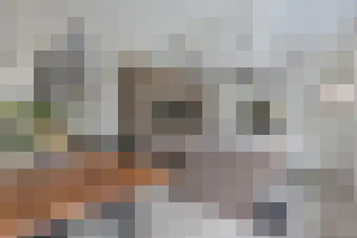 Laantje van Hynckes 22 Blaricum thumbnail 18