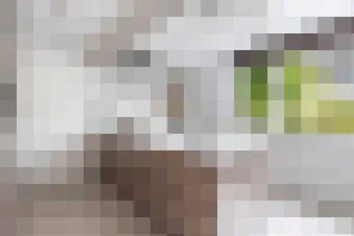 Laantje van Hynckes 22 Blaricum thumbnail 19