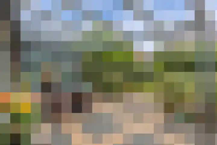 Laantje van Hynckes 22 Blaricum thumbnail 23